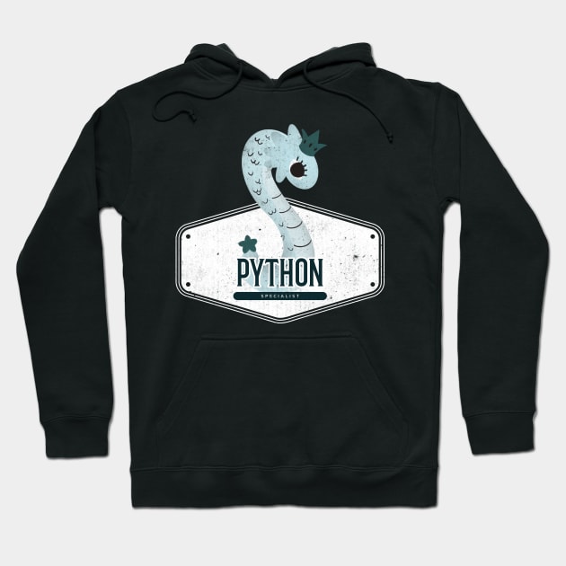 Python Coder Specialist Cute Dragon Hoodie by RareLoot19